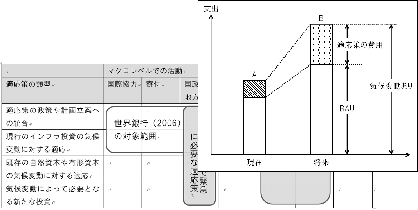 適応計画